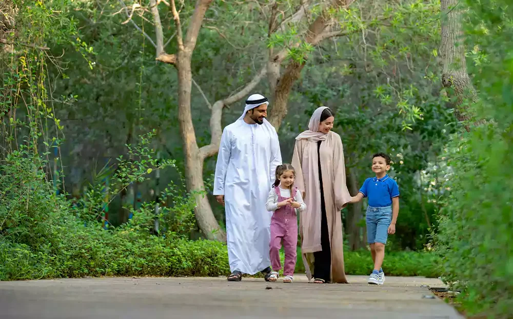 video image
